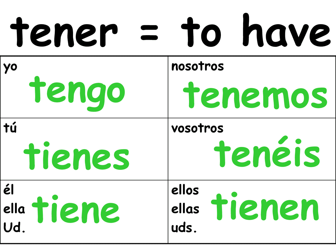 Tener Present Tense Worksheet