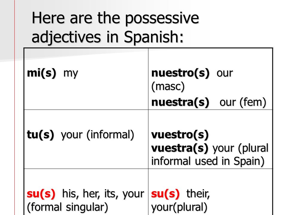 adjectives possessives