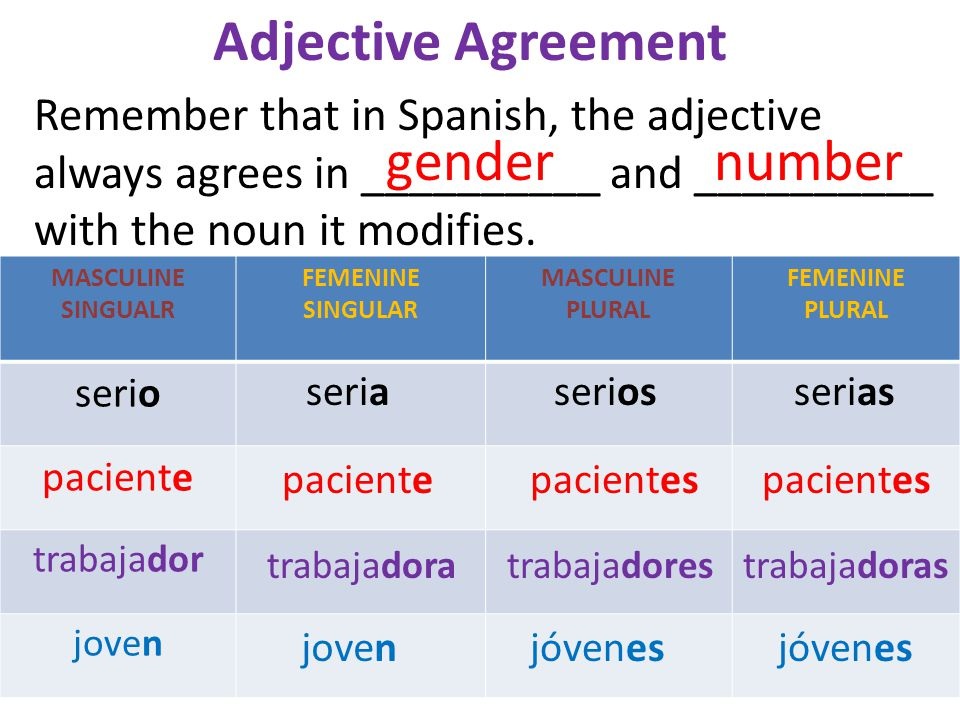 Spanish Plural Chart